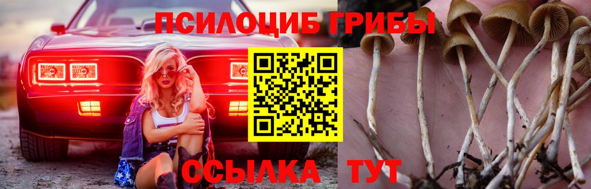 Галлюциногенные грибы ЛСД  Вход с VPN  Нижнекамск  Псилоцибиновые грибы мицелий 